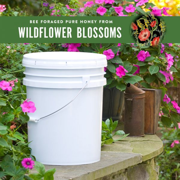 Wildflower Honey Pail